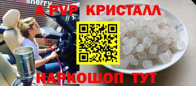эйфоретик Кингисепп