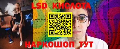 эйфоретик Кингисепп